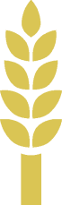 The wheat mark from Feeding America's logo.